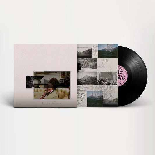 Fionn Regan - O Avalanche [LP] [New Vinyl]