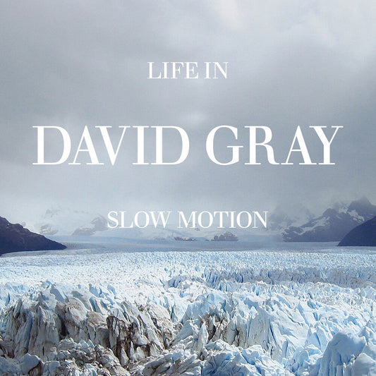 David Gray - Life In Slow Motion (20th Anniversary) [Blue] [New Vinyl]