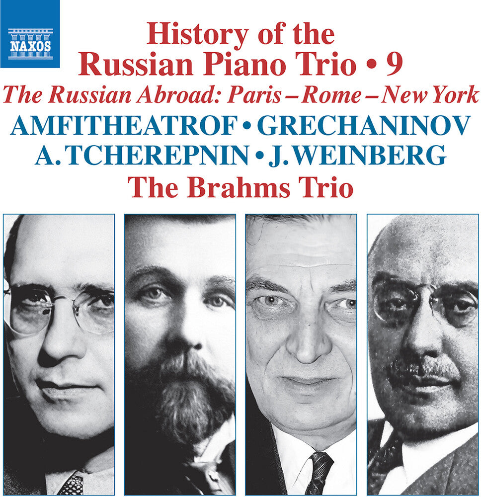 Brahms Trio - History Of The Russian Pno Trio Vol. 9 [CD] [New CD]