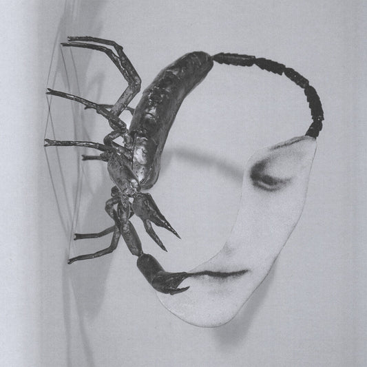 Tortoise - Touch [CD] [New CD]