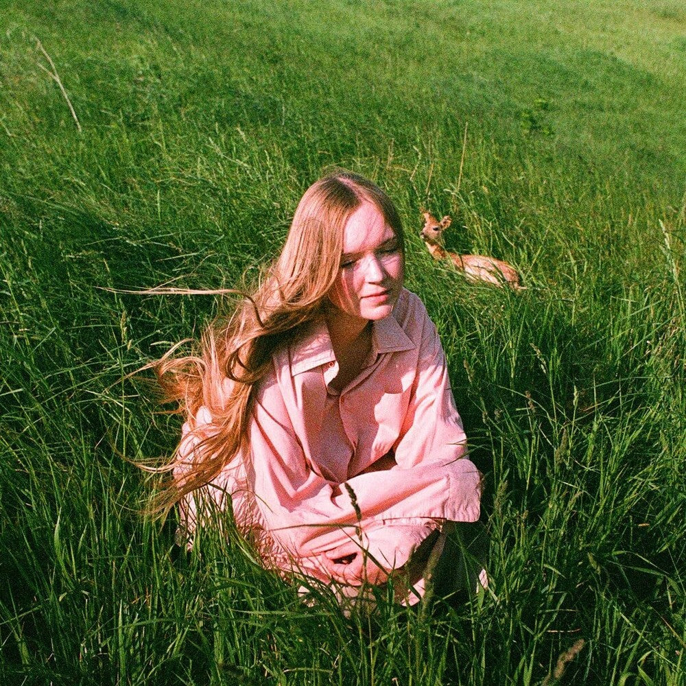 Babygirl - Stay Here Where It's Warm (Can) [LP] [New Vinyl]