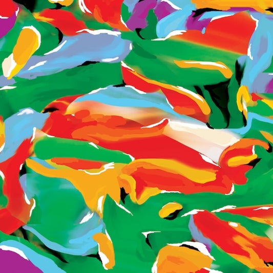 Auntie Flo - Birds Of Paradise [LP] [New Vinyl]