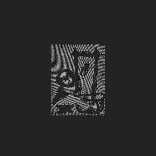 World Is But A Place Of Survival / Various - World Is But A Place Of Survival / Various [LP] [New Vinyl]