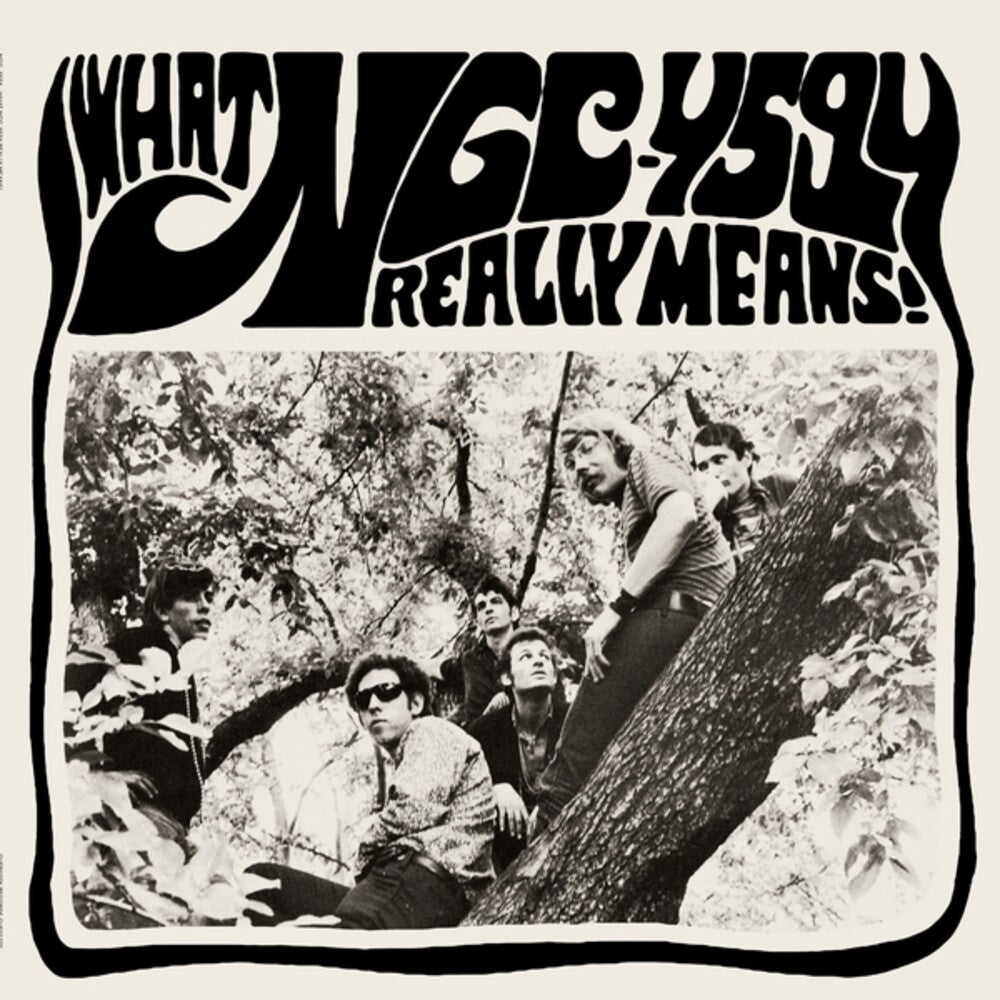 Ngc-4594 - What Ngc-4594 Really Means [LP] [New Vinyl]
