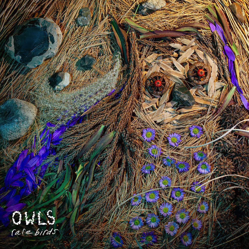 Owls - Rare Birds [LP] [New Vinyl]