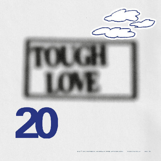 Tough Love 20: Don't Do Anything Important / Var - Tough Love 20: Don't Do Anything Important / Var [LP] [New Vinyl]