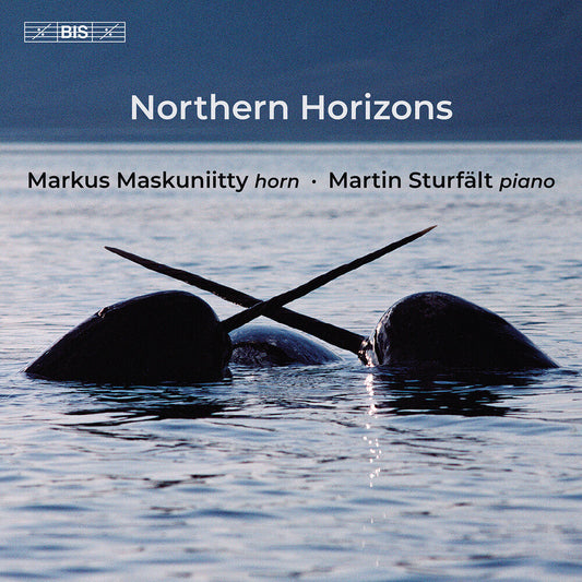 Markus Maskuniitty - Northern Horizons [CD] [New CD]