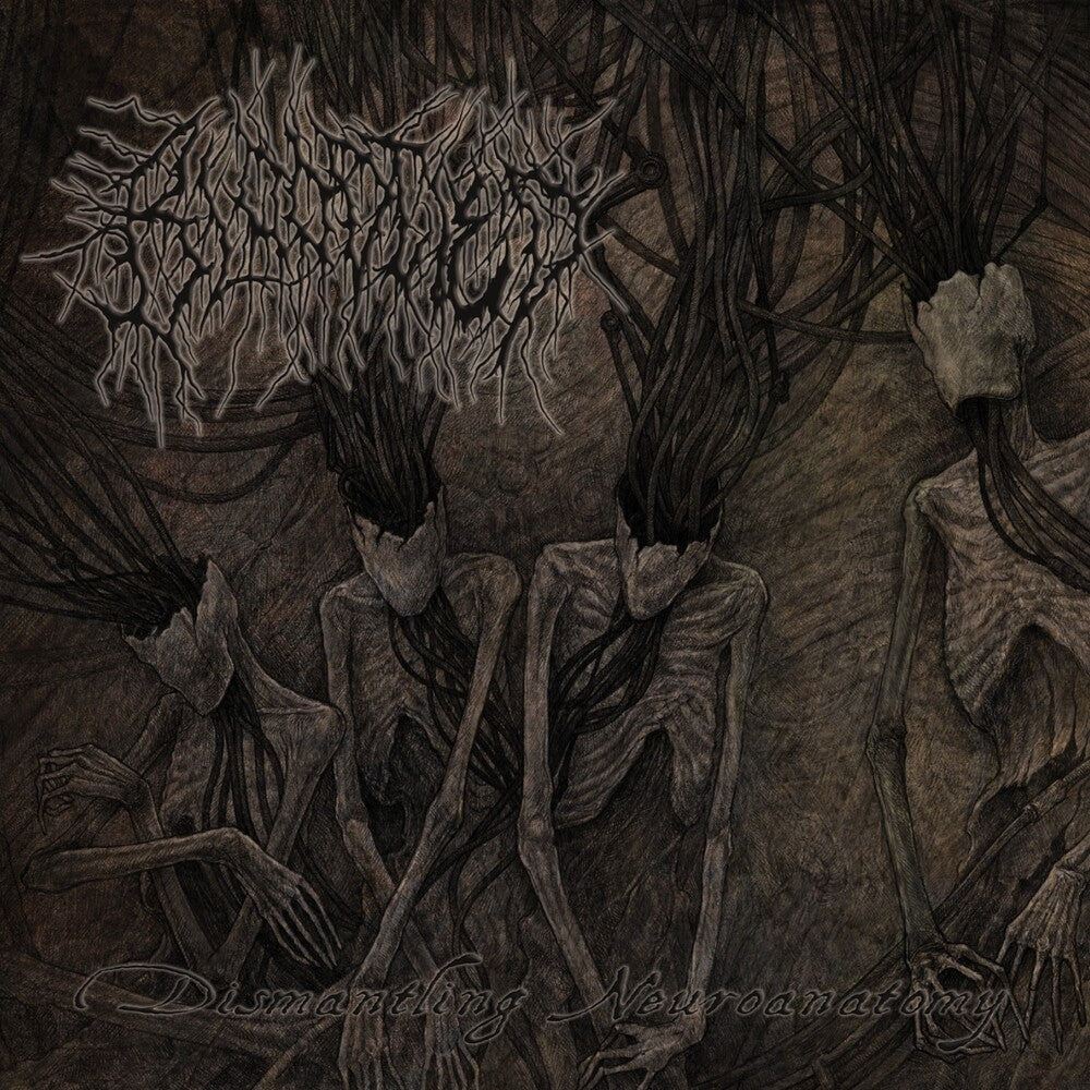 Bloodtied - Dismantling Neuroanatomy [CD] [New CD]