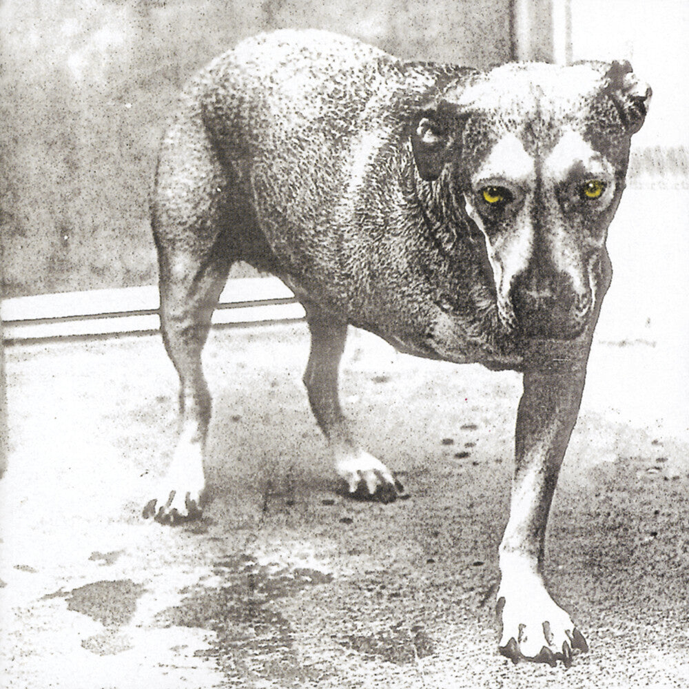 Alice In Chains - Alice In Chains (30th Anniversary Reissue) [Colored Vinyl]