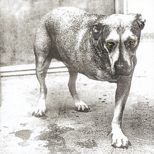 Alice In Chains - Alice In Chains (30th Anniversary Reissue) [Colored Vinyl] Vinyl Record [New]