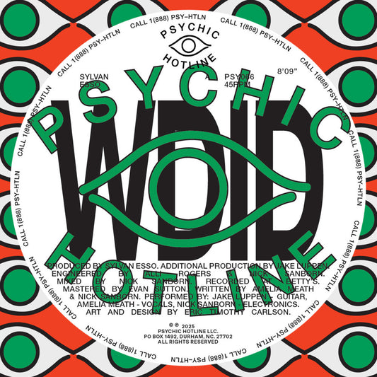 Sylvan Esso - WDID b/w KEEP ON [12" Single] [New Vinyl]