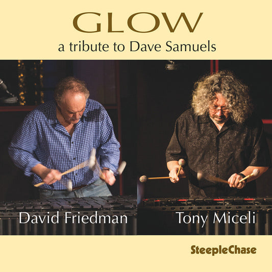 David Friedman - Glow [CD] [New CD]