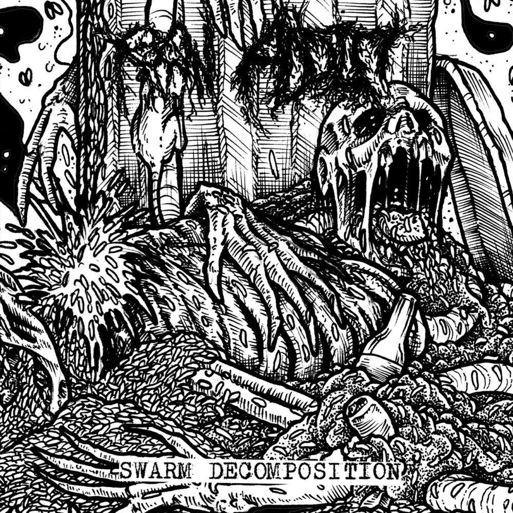 Raw Addict - Swarm Decomposition [CD] [New CD]