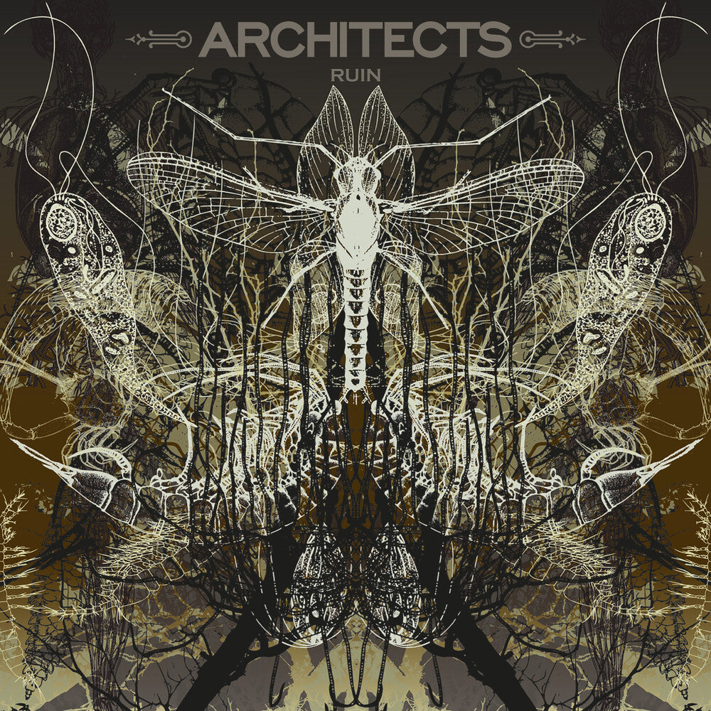 Architects - Ruin [Limited Edition] (Pict) [New Vinyl]