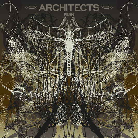 Architects - Ruin [Limited Edition] (Pict) [New Vinyl]