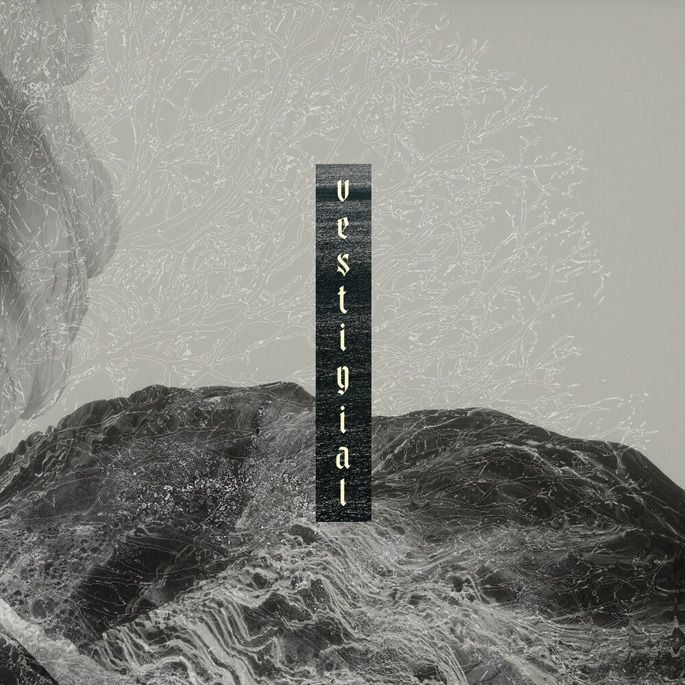 Vestigial - Descending Vastness [CD] [New CD]