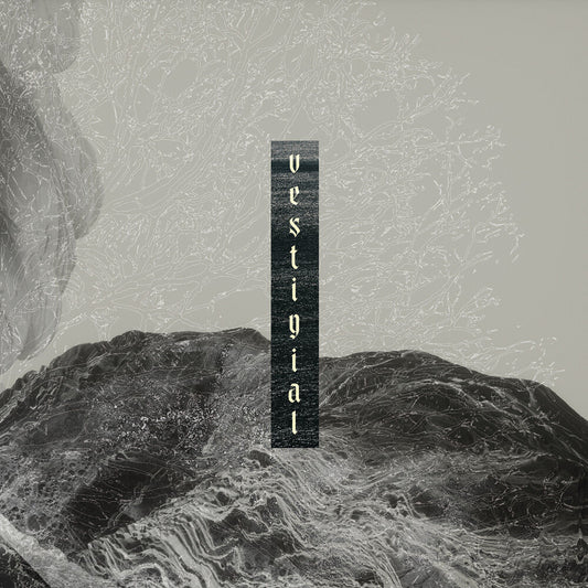 Vestigial - Descending Vastness [CD] [New CD]