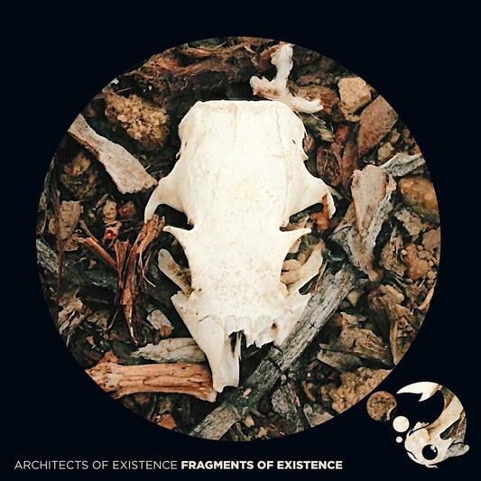 Architects Of Existence - Fragments Of Existence [CD] [New CD]