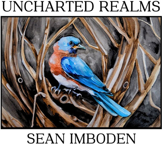 Sean Imboden - Uncharted Realms [Digipak] [New CD]
