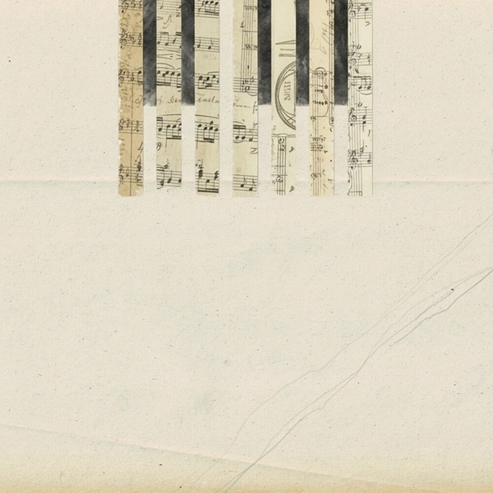 Coh & Wladimir Schall - Covers [LP]