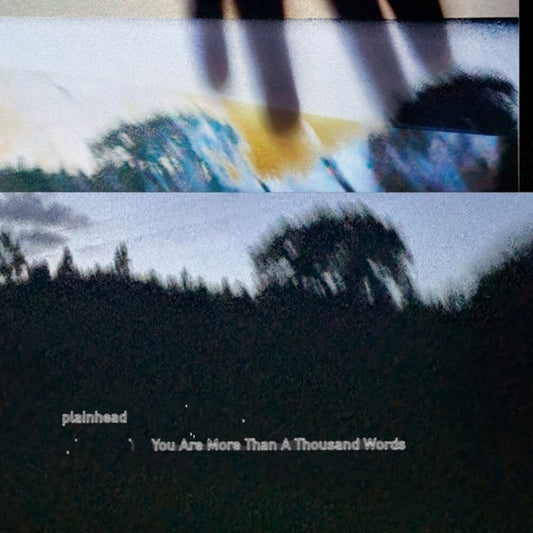 Plainhead - You Are More Than A Thousand Words [LP] [New Vinyl]