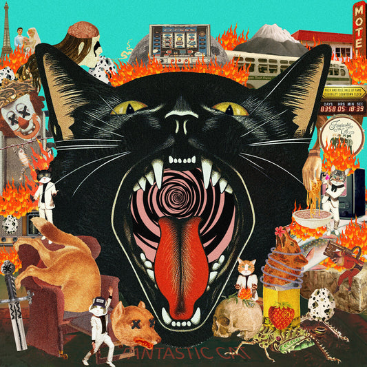 Fantastic Cat - Cat Out Of Hell [CD] [New CD]