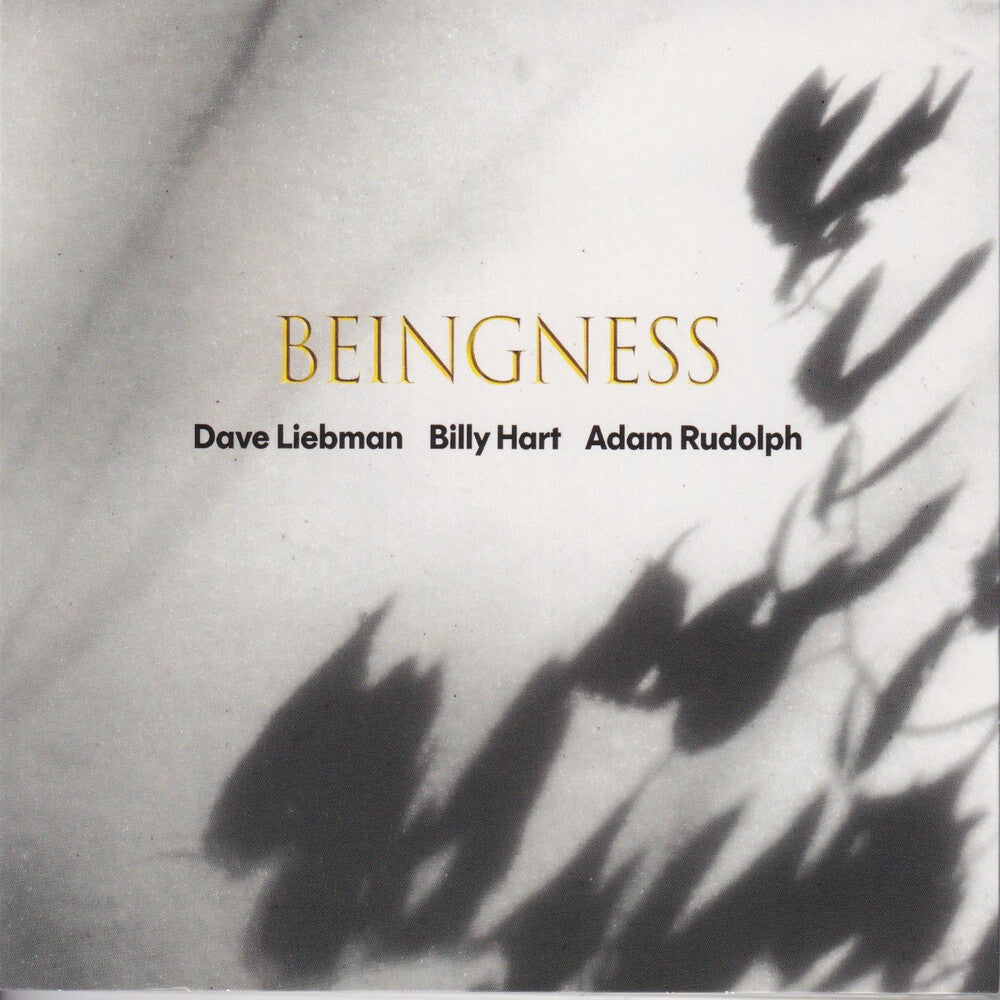Dave Leibman  / Hart,Billy / Rudolph,Adam - Beingness [Colored Vinyl] [Limited Edition] [180 Gram] [New Vinyl]