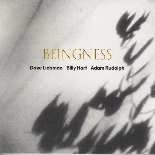 Dave Leibman  / Hart,Billy / Rudolph,Adam - Beingness [Colored Vinyl] [Limited Edition] [180 Gram] [New Vinyl]