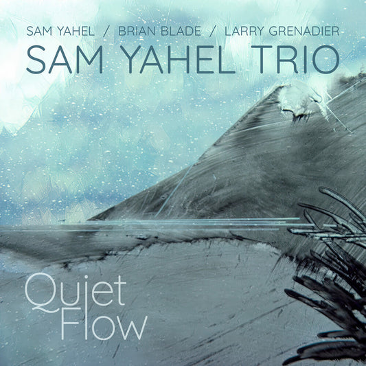 Sam Yahel - Quiet Flow [CD] [New CD]