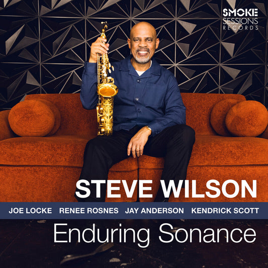 Steve Wilson - Enduring Sonance [LP] [New Vinyl]