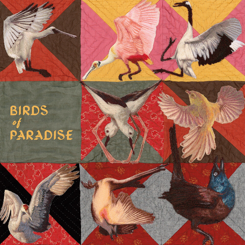 Thomas Dollbaum - Birds Of Paradise [CD] [New CD]