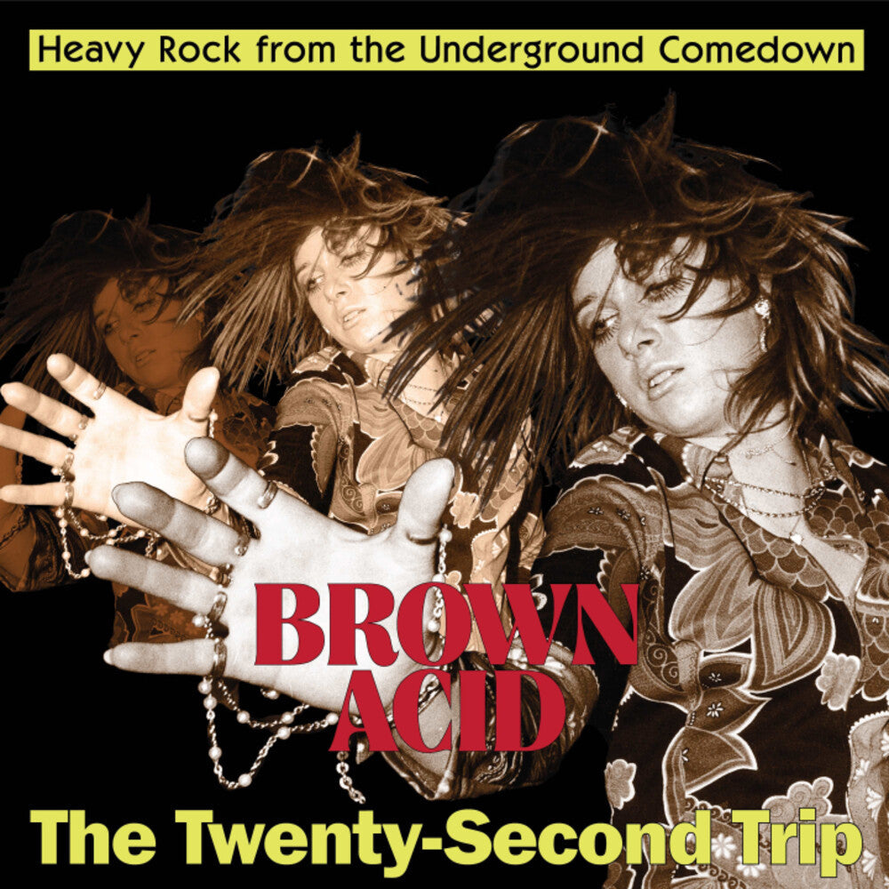 Brown Acid - Twenty-Second Trip / Various - Brown Acid - The Twenty-Second Trip (Various Artists) [CD] [New CD]