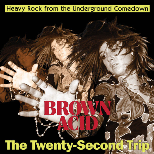 Brown Acid - Twenty-Second Trip / Various - Brown Acid - The Twenty-Second Trip (Various Artists) [CD] [New CD]