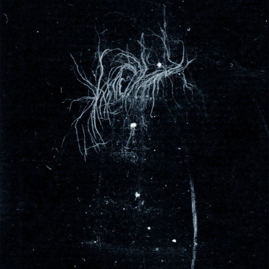 My Heart, An Inverted Flame - My Death Is More Beautiful Than Your Life [CD] [New CD]