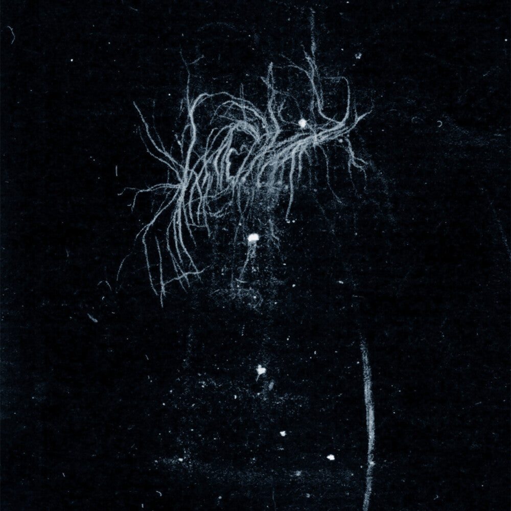 My Heart, An Inverted Flame - My Death Is More Beautiful Than Your Life [CD]