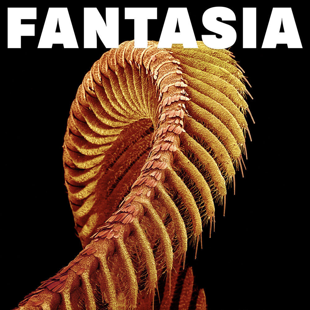 SLIFT - Fantasia - Yellow [Colored Vinyl] (Ylw) [New]