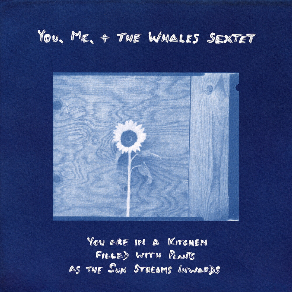 You, Me, + The Whales Sextet - You Are In A Kitchen Filled With Plants As The Sun [LP] [New Vinyl]