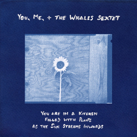 You, Me, + The Whales Sextet - You Are In A Kitchen Filled With Plants As The Sun [LP] [New Vinyl]