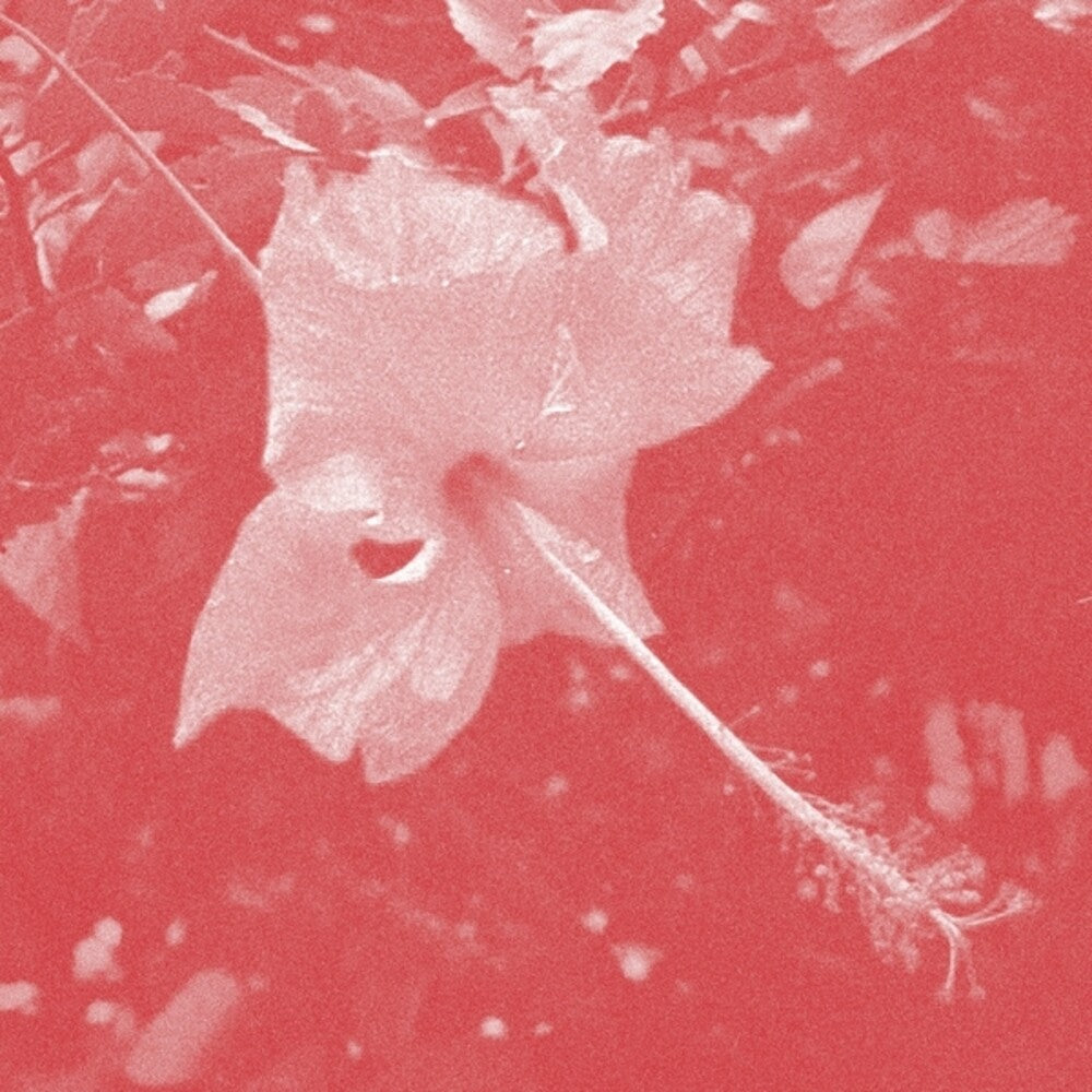Celer - Poulaine [CD] [New CD]