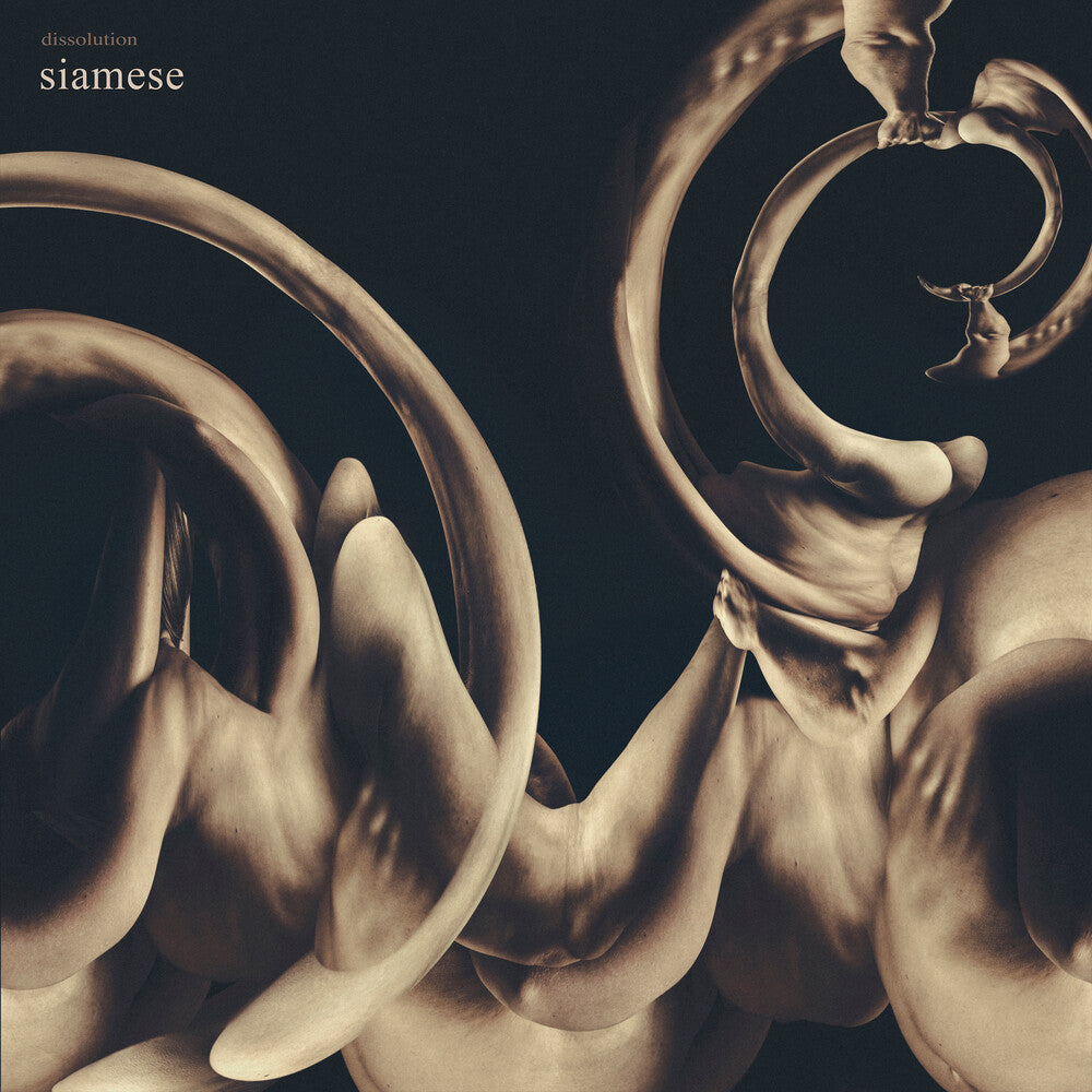 Siamese - Dissolution [CD] [New CD]