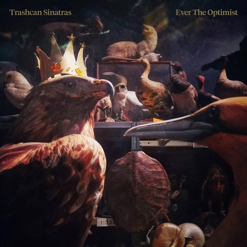 Trashcan Sinatras - Ever The Optimist (Uk) [CD] [New CD]