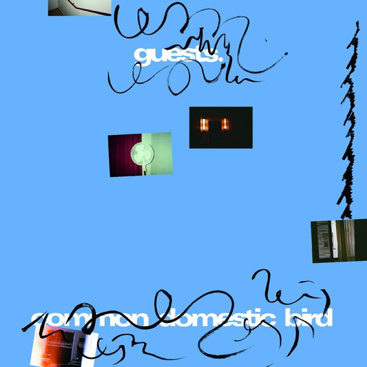 Guests - Common Domestic Bird [LP] [New Vinyl]