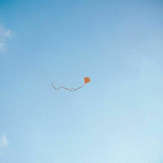 Chris Stussy - Lost Found & Forgotten [LP] [New Vinyl]