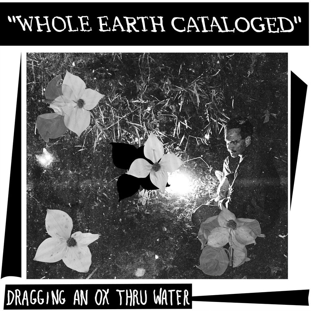 Dragging an Ox through Water - Whole Earth Catalogued [LP] [New Vinyl]