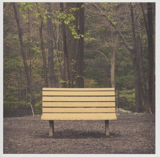 Streetlight Manifesto - Hands That Thieve [Colored Vinyl] [Reissue] [New Vinyl]