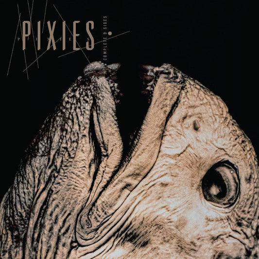 Pixies - Complete B Sides: 1988-97 [CD] [New CD]