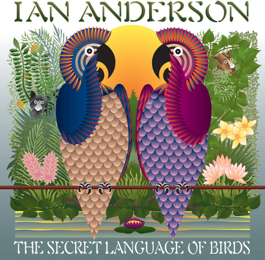 Ian Anderson - Secret Language Of Birds [LP] [New Vinyl]