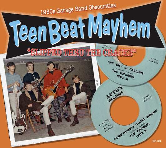 Teenbeat Mayhem / Various - Teenbeat Mayhem / Various [CD] [New CD]