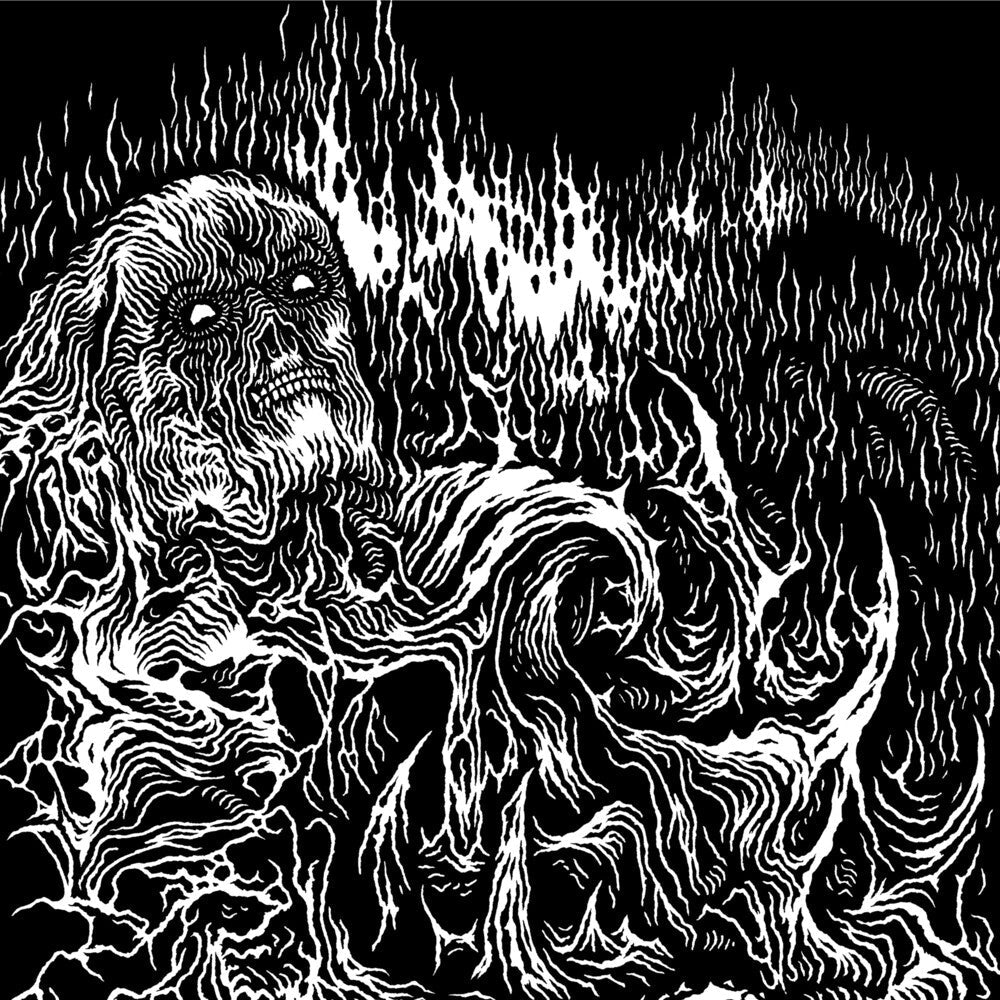 Locusts & Honey - Teach Me To Live That I Dread the Grave As Little As My Bed [LP] [New Vinyl]