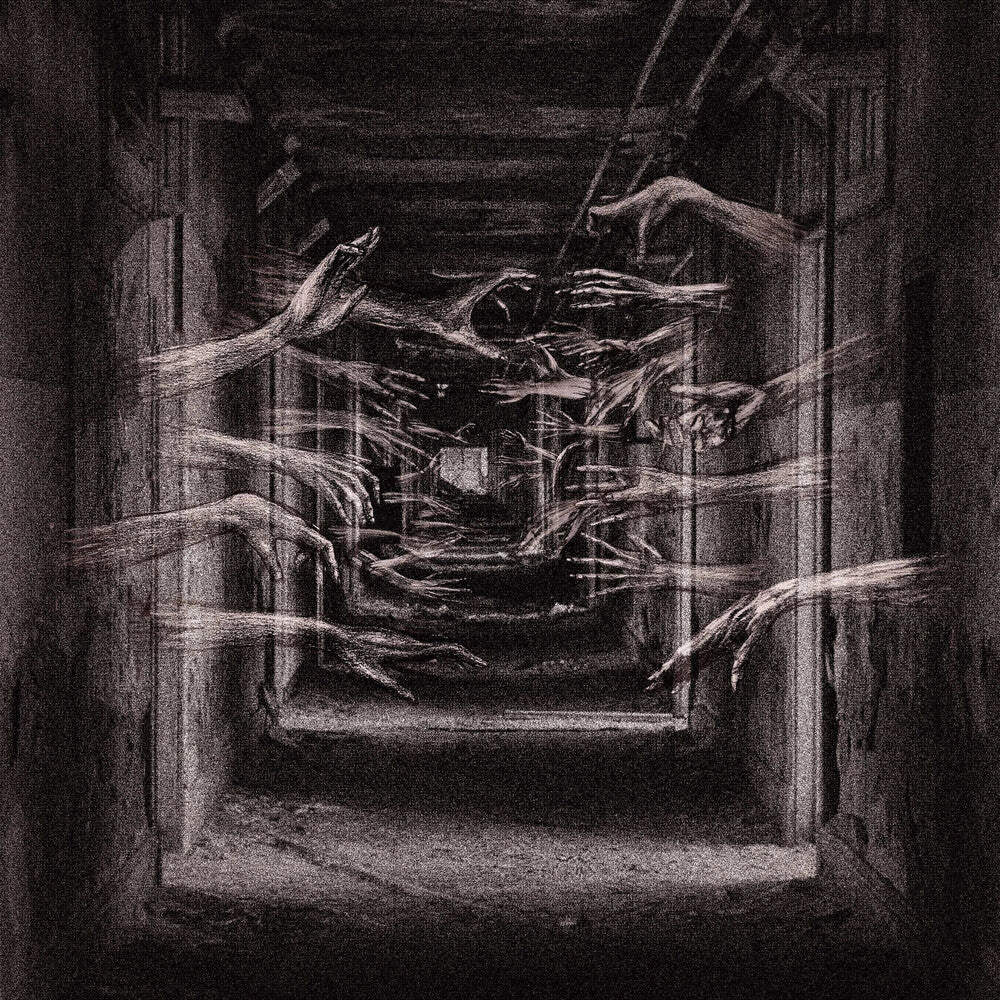 Demonic Possessor - Porous Chambers [LP] [New Vinyl]